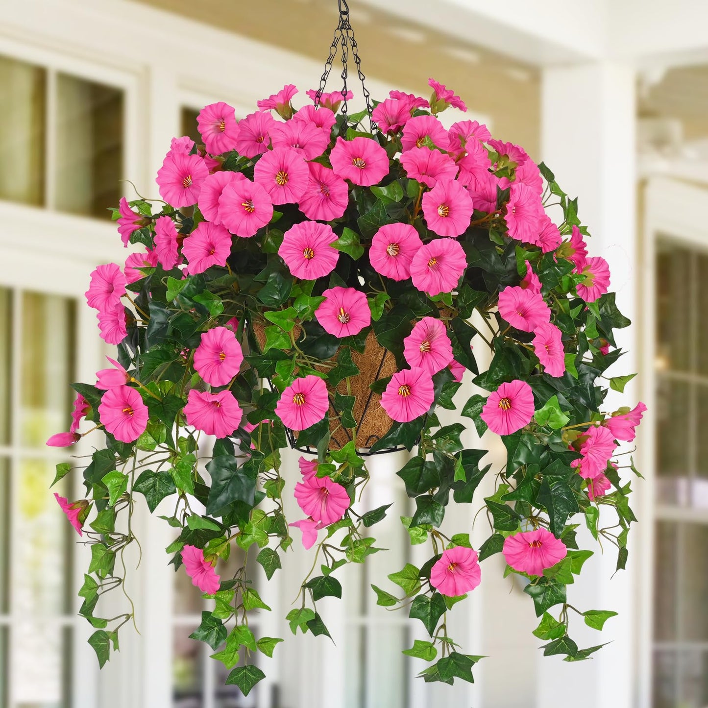 hanging plants dummy 1
