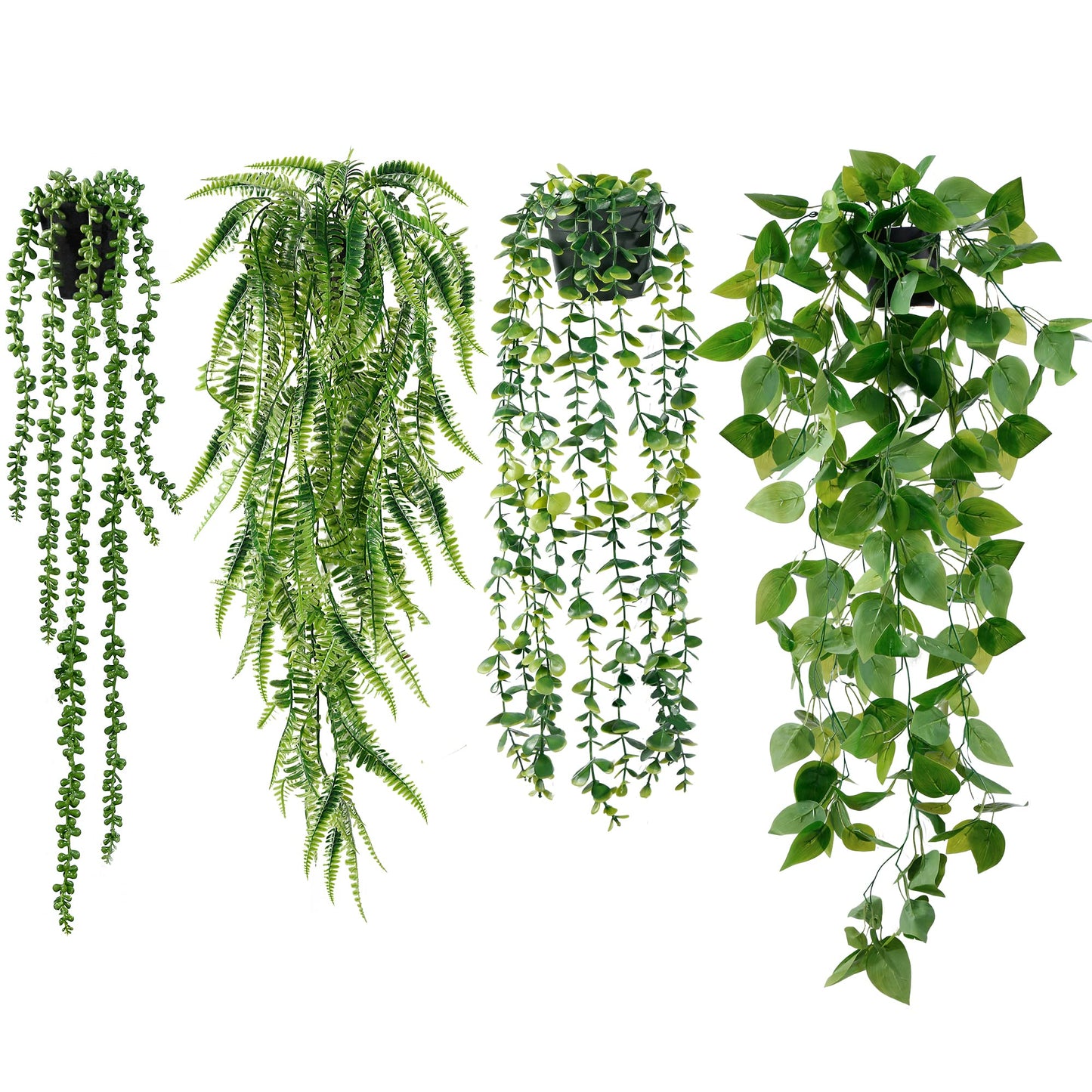 hanging plants 2