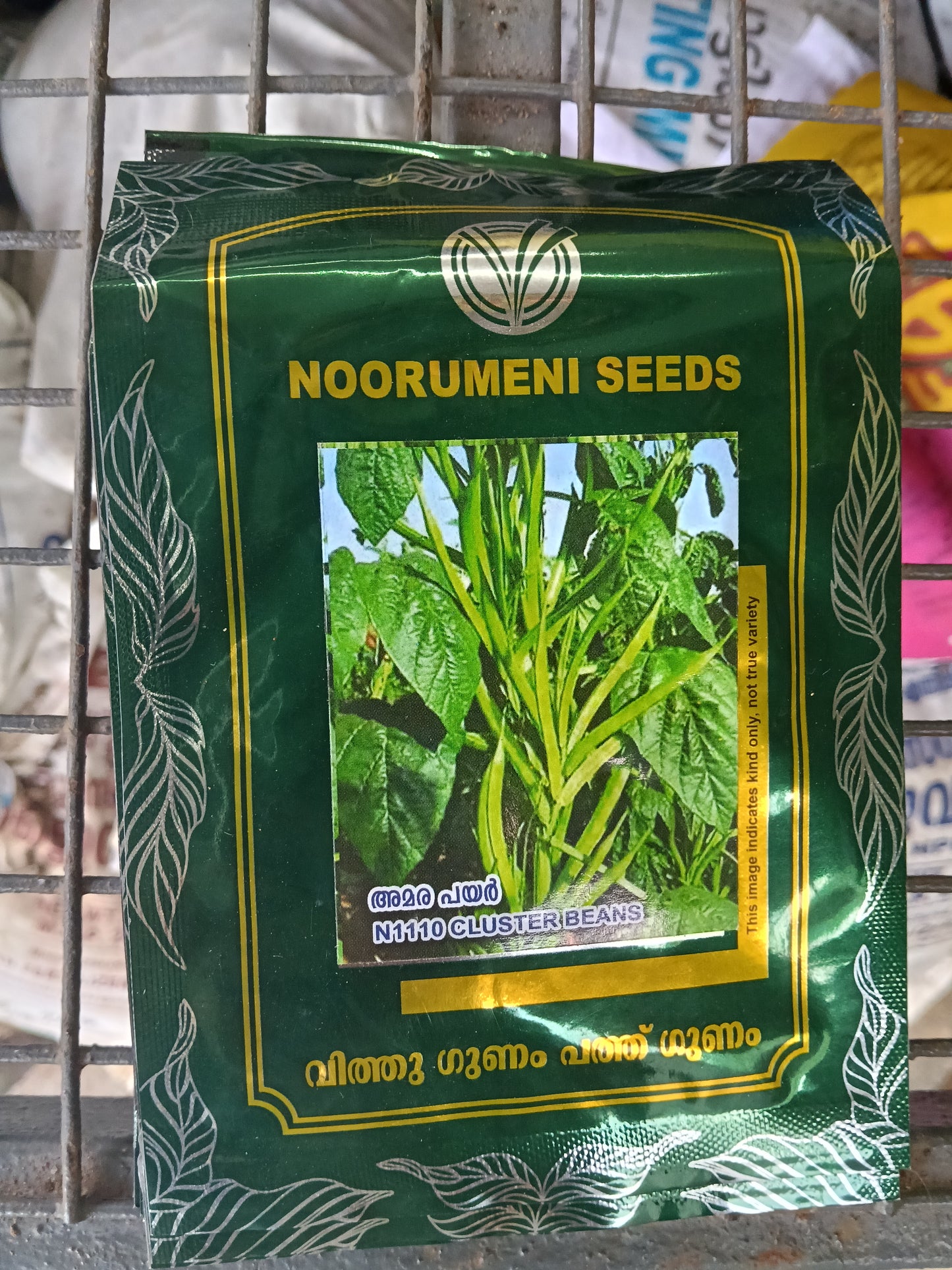 Amara Payar Seeds (Hyacinth Bean Seeds) – Noorumeni Seeds