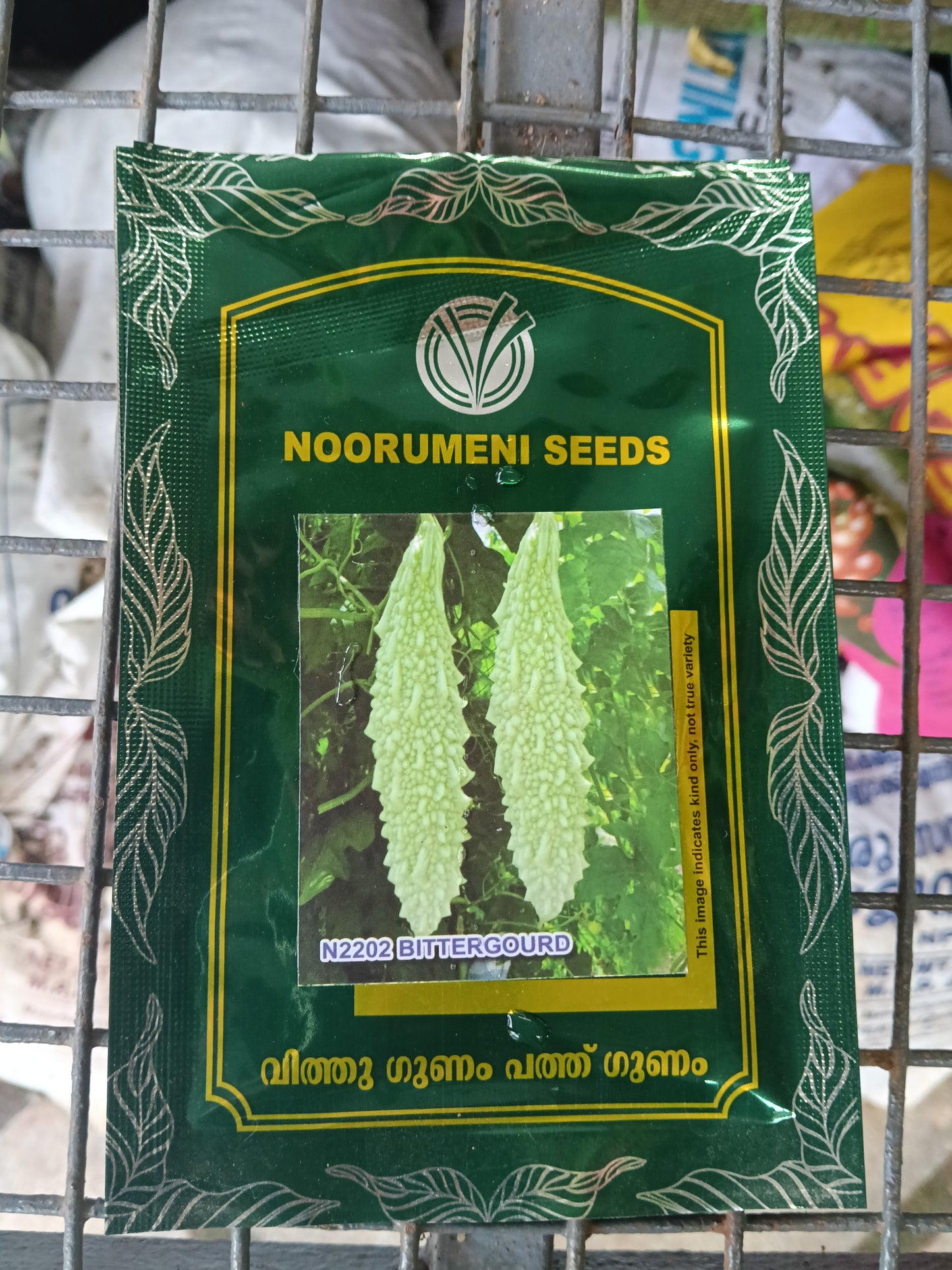 Bitter Gourd Seeds | High Yield Pavakka Seeds for Home Garden & Farming
