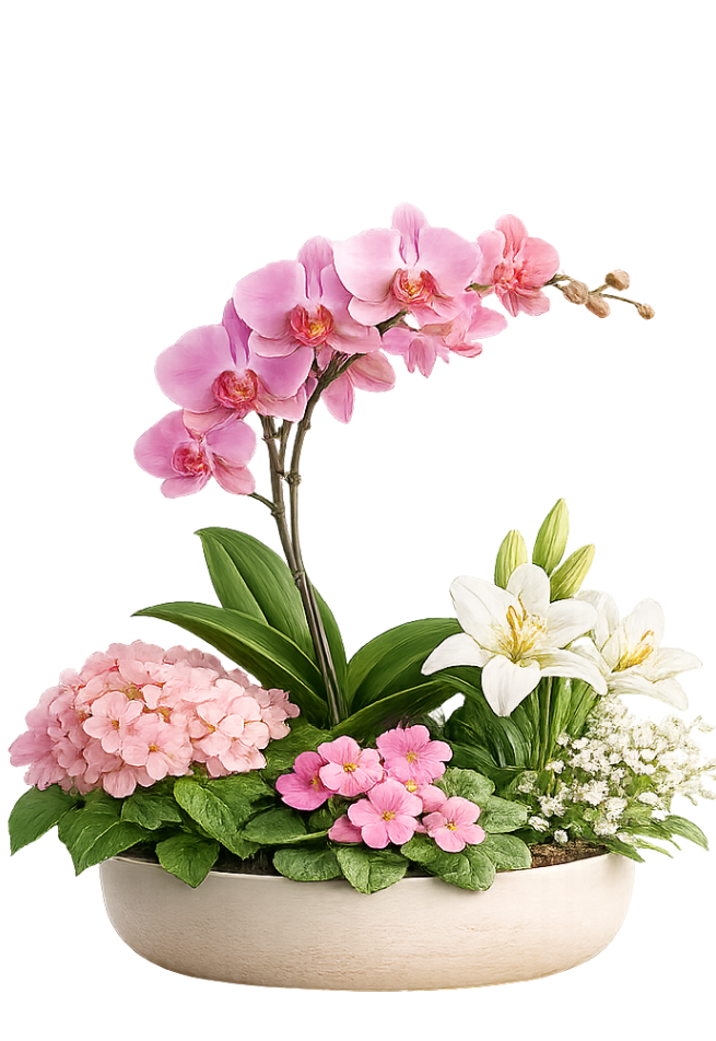 Flowering Plants