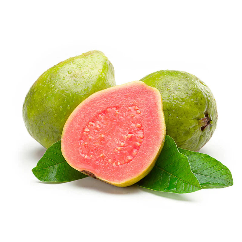 Arkakiran Guava Fruit Plant