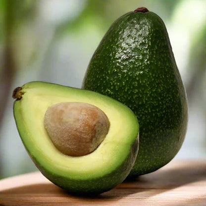 Avocado Fruit Plant