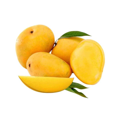 All Season Mango Grafted Fruit Plant