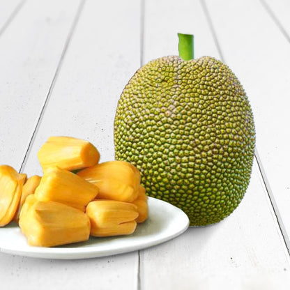 Vietnam Early Jackfruit Grafted Fruit Plant