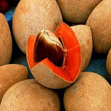 Red Sapote