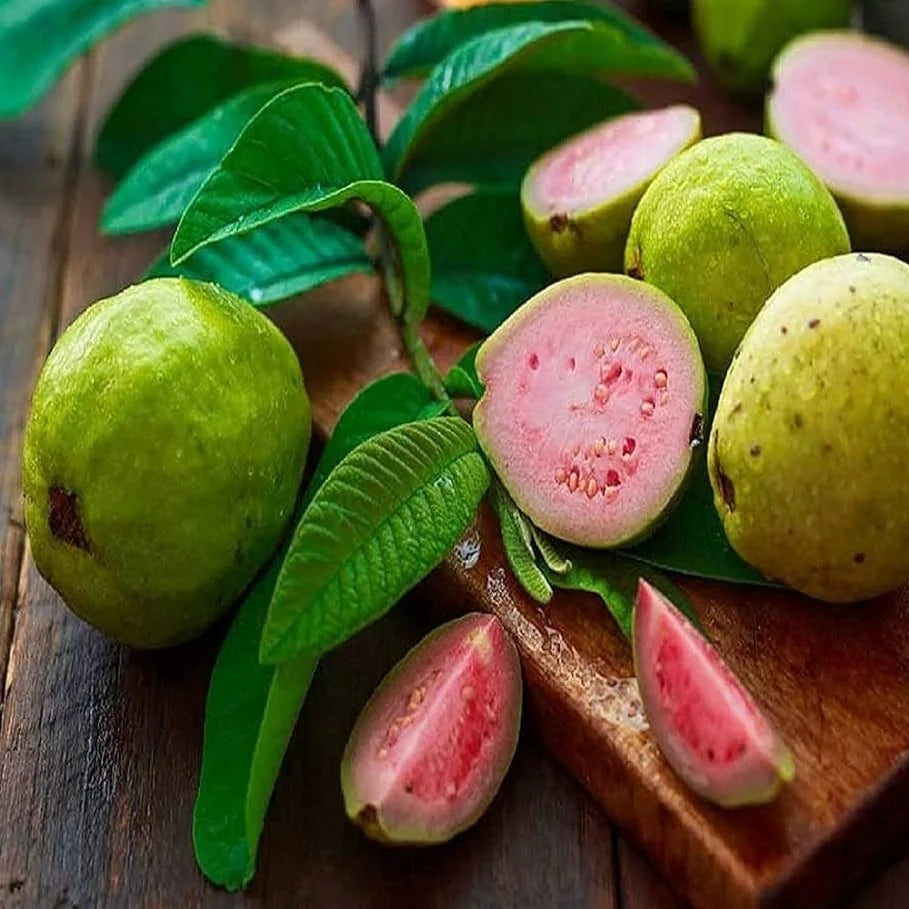 Lalith Guava Fruit Plant