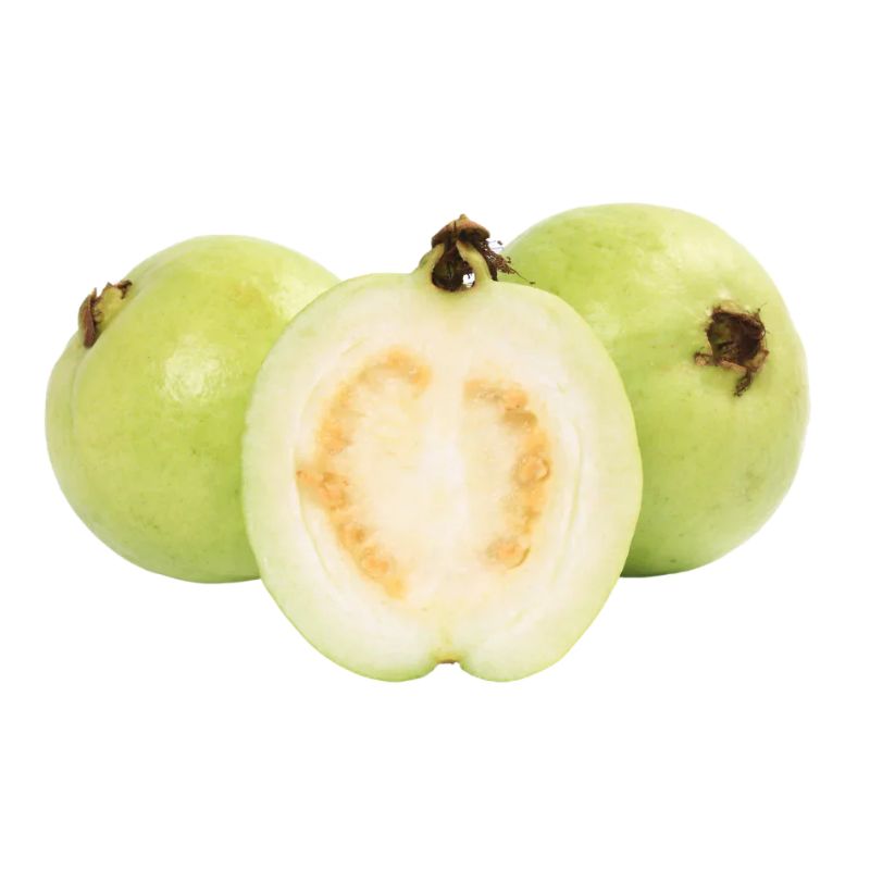 L 49 Guava Fruit Plant