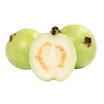 L 49 Guava Fruit Plant