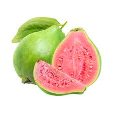 Egyptian Guava Fruit Plant