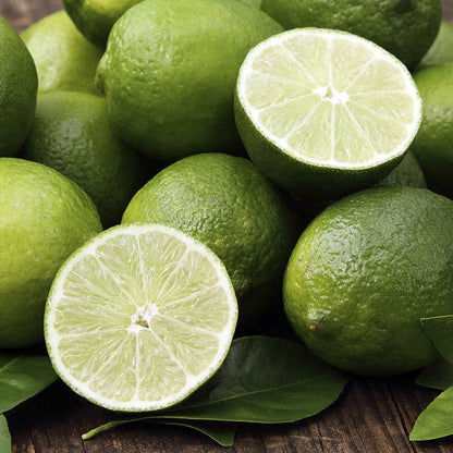 Seedless Lemon Fruit Plant