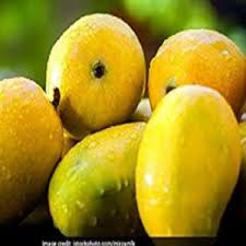 Chandrakaran Mango Grafted Fruit Plant