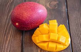 Miyazaki Mango Grafted Fruit Plant