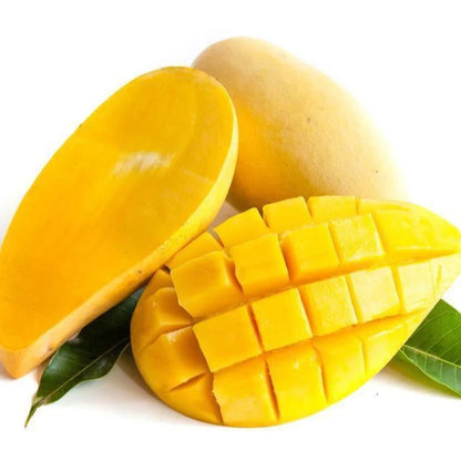 Nam Doc Mai Mango Grafted Fruit Plant