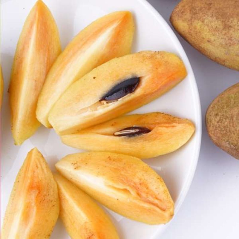 Banana Sapote
