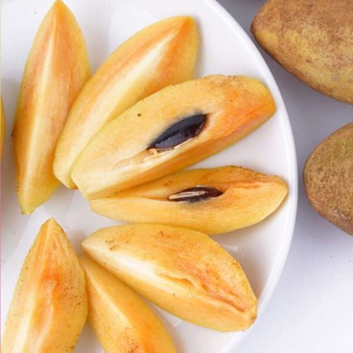 Banana Sapote