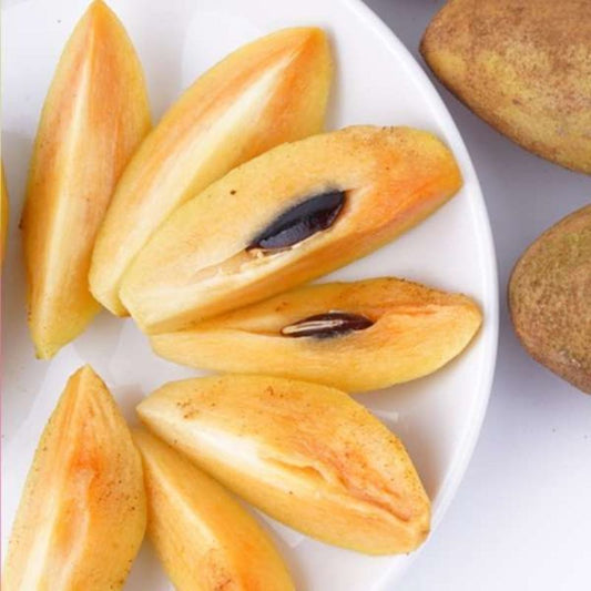 Banana Sapote