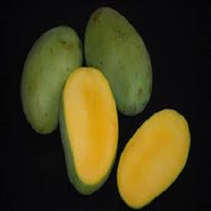 Vellari Mnago