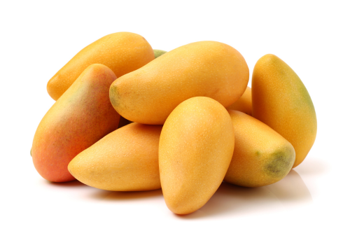 Banganapalli Mango Grafted Fruit Plant