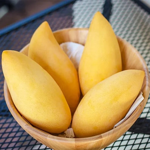Mallika Mango