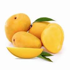 Banganapalli Mango Grafted Fruit Plant