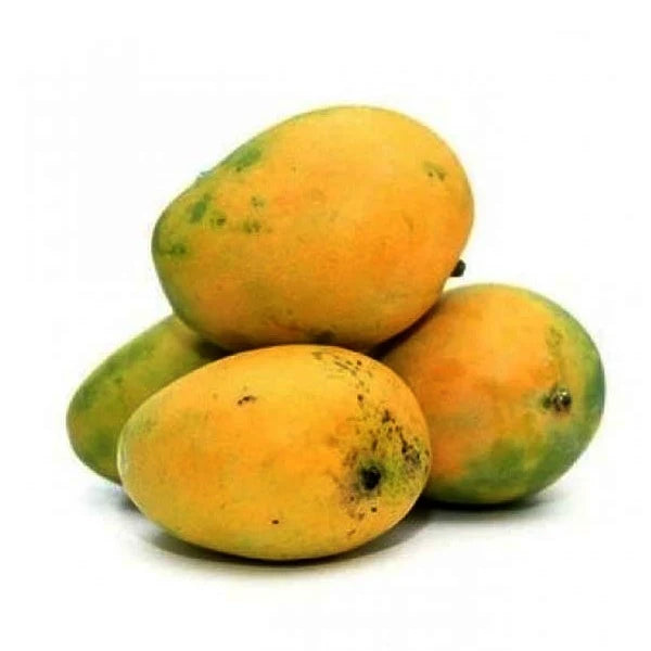 Moovandan Mango Grafted Fruit Plant