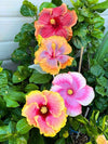 Flower combo 1