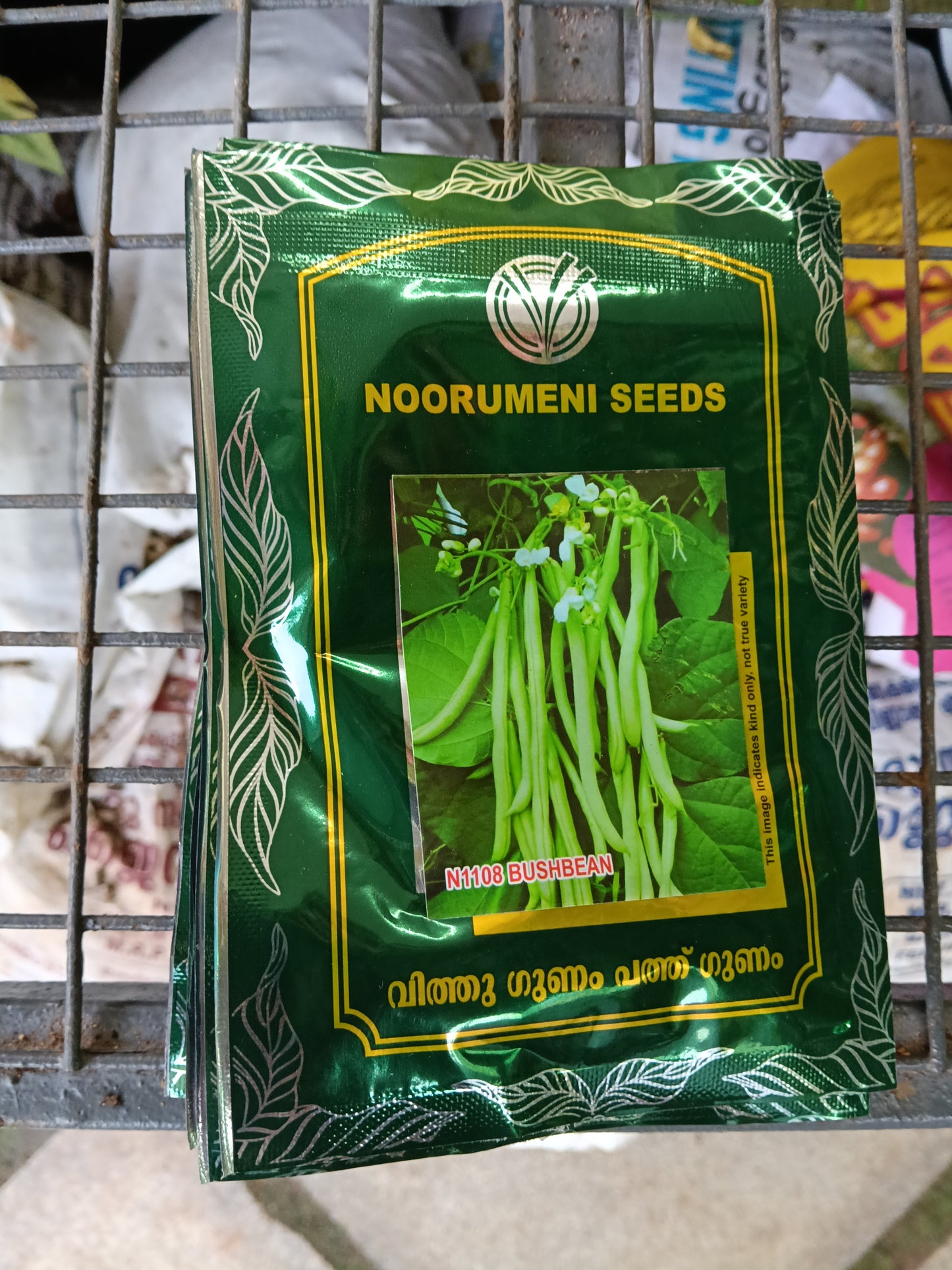 Bush Bean Seeds | High Yield Green Bean Seeds for Home Garden & Farming