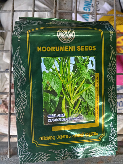 Amara Payar Seeds (Hyacinth Bean Seeds) – Noorumeni Seeds