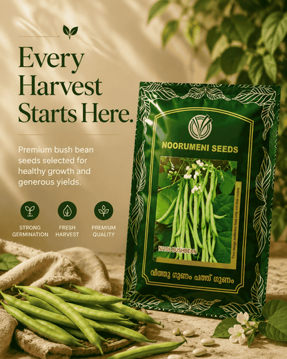 Bush Bean Seeds | High Yield Green Bean Seeds for Home Garden & Farming