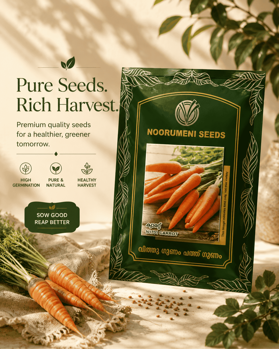 Carrot Seeds | High Yield Orange Carrot Seeds for Home Garden & Farming