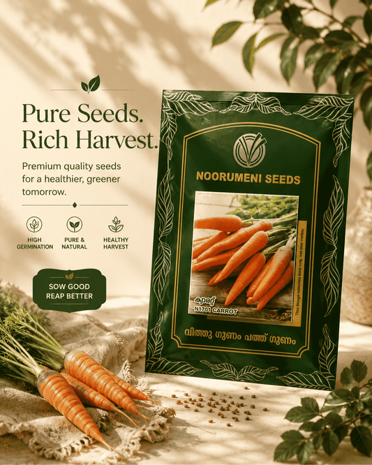 Carrot Seeds | High Yield Orange Carrot Seeds for Home Garden & Farming