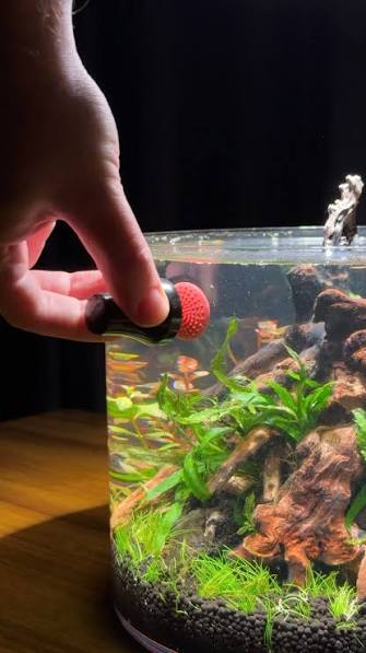 aquarium dummy 2